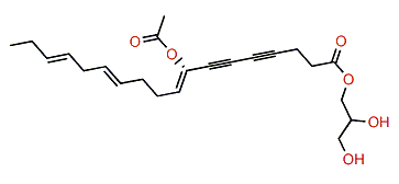 Peyssonenyne B